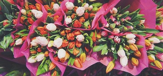 26 maja – Dzień Matki 26 maja – Dzień Matki