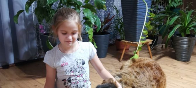 4 Październik Światowy Dzień Zwierząt – potrzebujemy się nawzajem 