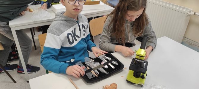 Klasa IV doskonali techniki mikroskopowania Klasa IV doskonali techniki mikroskopowania