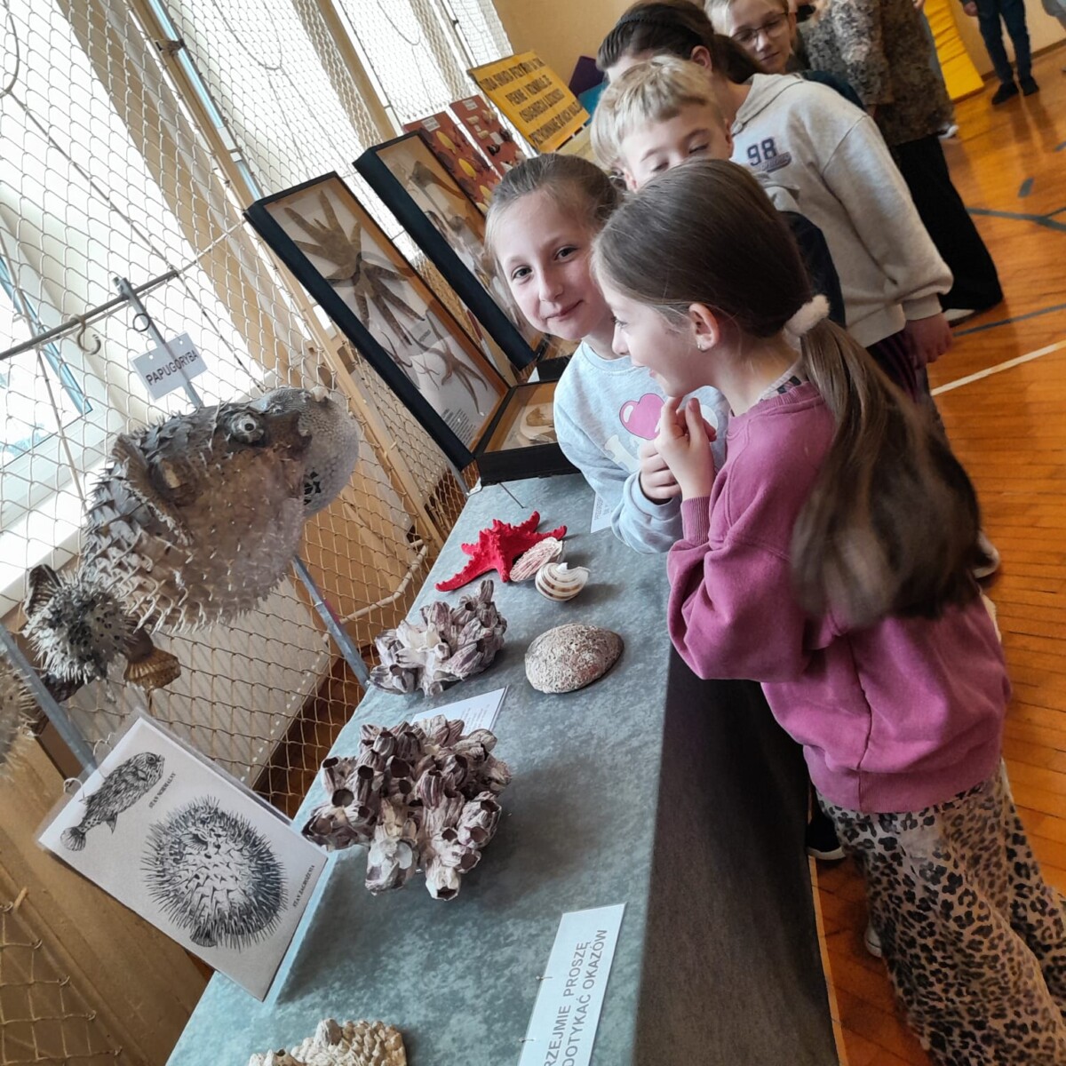 Wystawa „Skarby mórz i oceanów” w naszej szkole Wystawa „Skarby mórz i oceanów” w naszej szkole